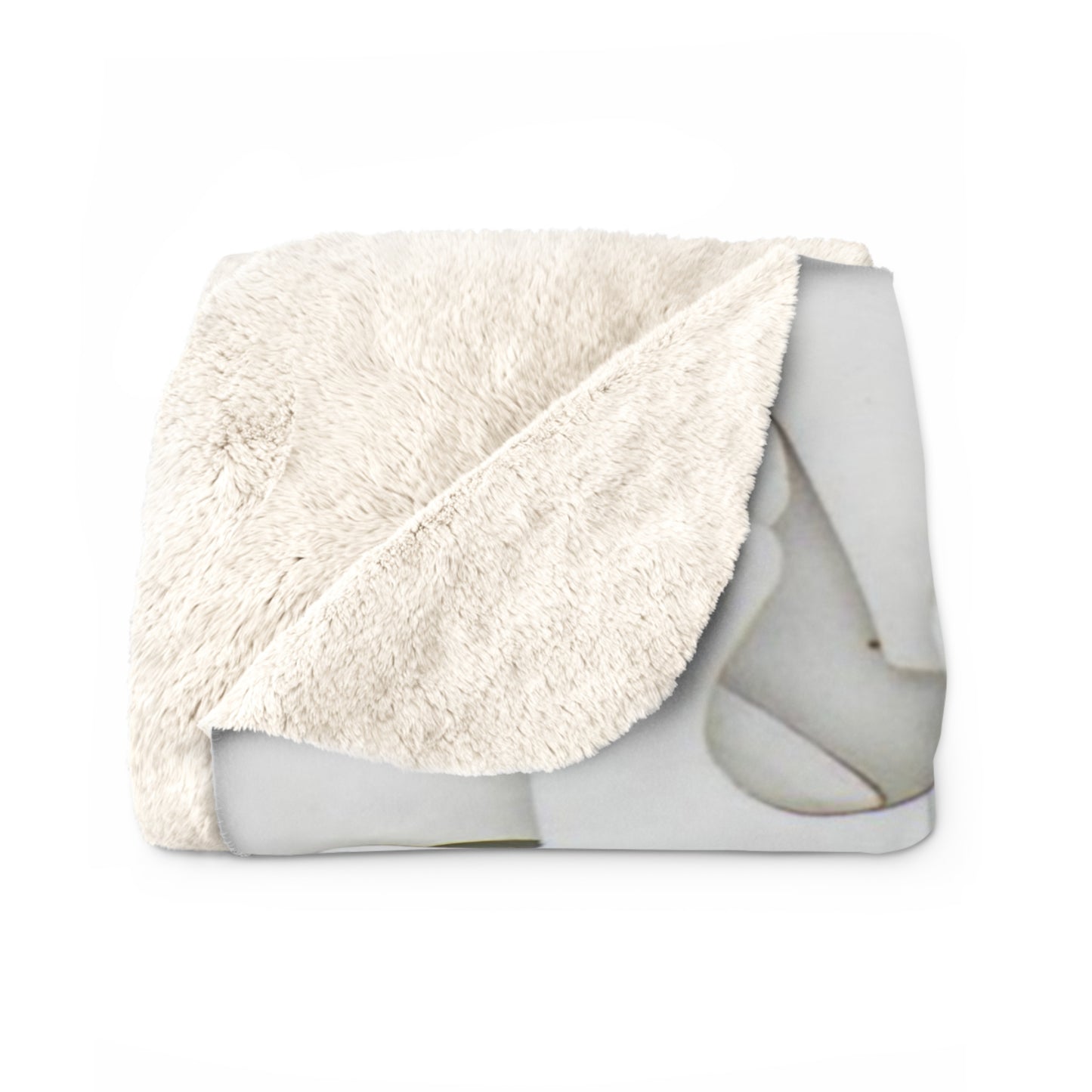 Case Closed Cozy